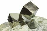 Cluster Of Shiny, Natural Pyrite Cubes - Navajun, Spain #132560-1